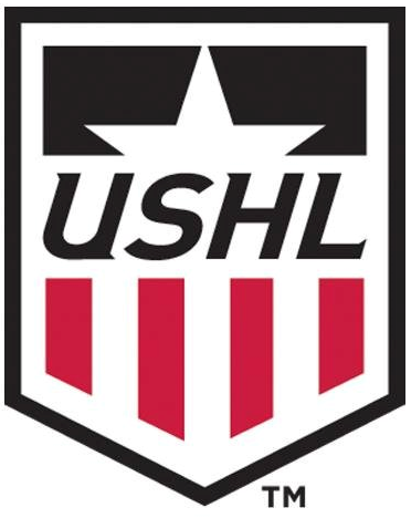 United States Hockey League 2016-Pres Primary Logo iron on heat transfer